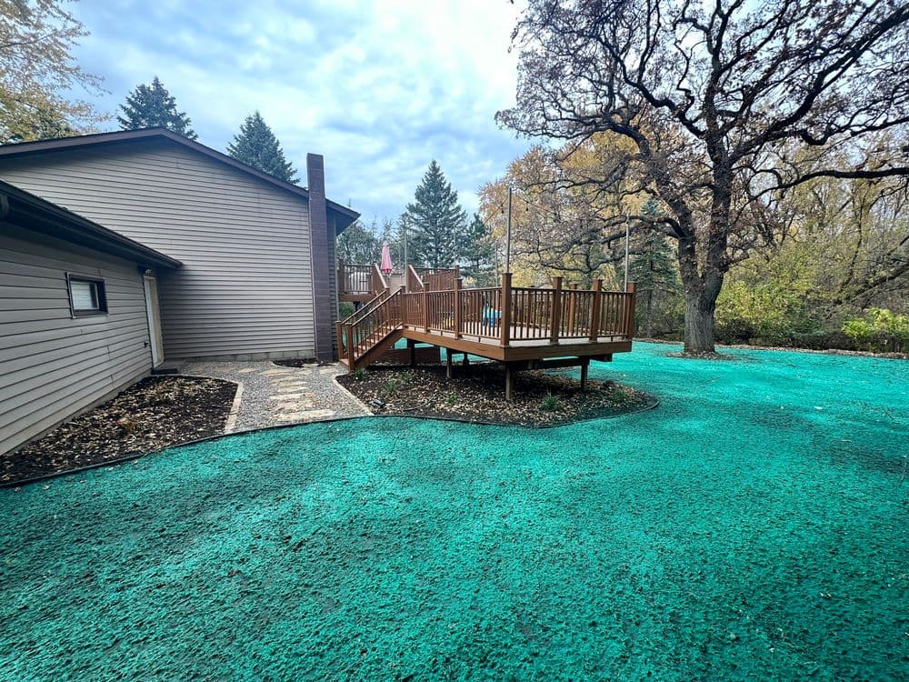 Backyard featuring a wooden deck, decorative stone path, and vibrant turquoise lawn.