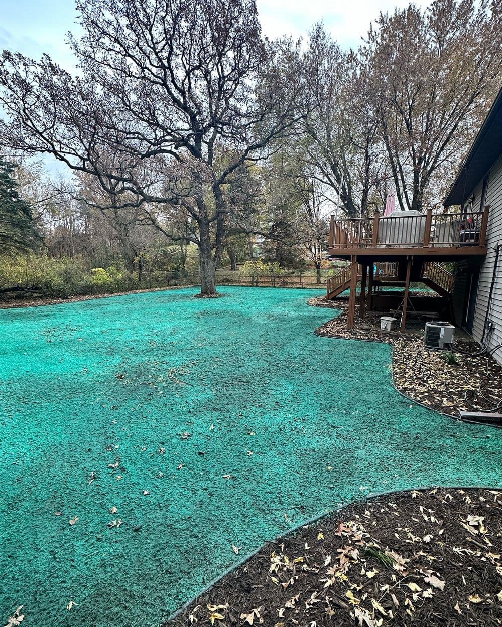 Project Backyard Transformation with New Lawn Installation image