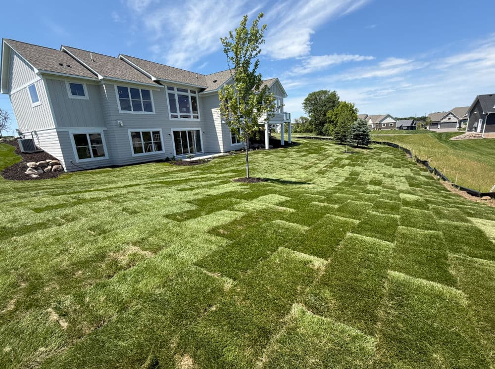 Project Fresh Sod Install Covers a Large Backyard in Lake Elmo image