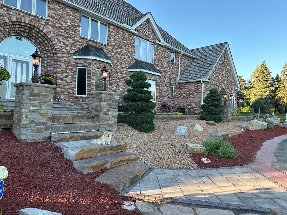 Contact form background