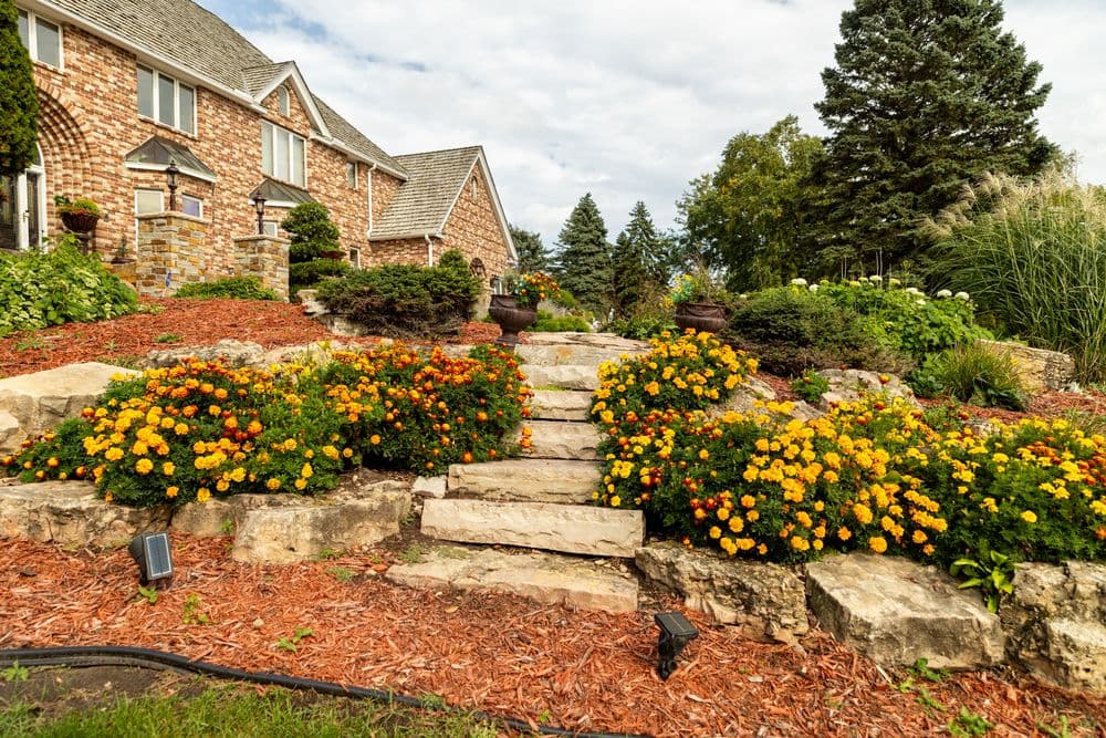 Contact form background